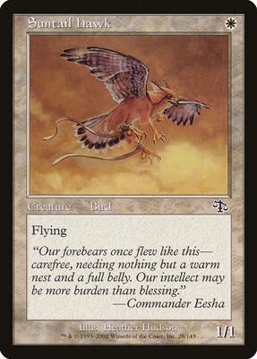Suntail Hawk card from Judgment
