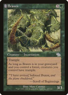 Brawn card from Judgment