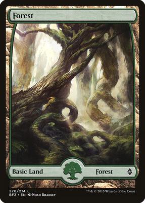 Forest (270) - Full Art card from Battle for Zendikar