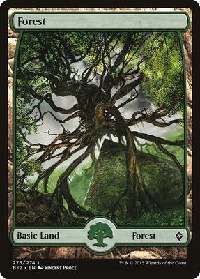Forest (273) - Full Art card from Battle for Zendikar