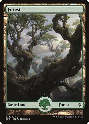Forest (274) - Full Art card from Battle for Zendikar
