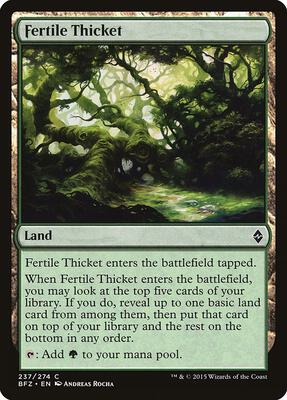 Fertile Thicket card from Battle for Zendikar