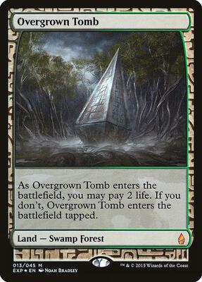 Overgrown Tomb card from Zendikar Expeditions