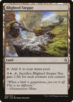 Blighted Steppe card from Battle for Zendikar
