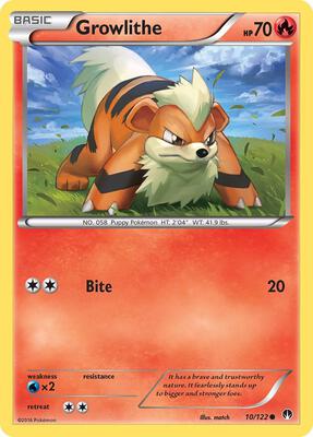 Growlithe card from XY - BREAKpoint