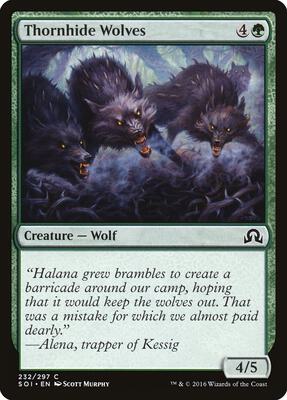 Thornhide Wolves card from Shadows over Innistrad
