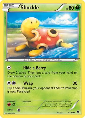 Shuckle card from XY - Fates Collide