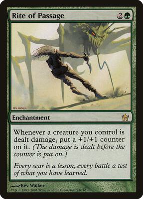 Rite of Passage card from Fifth Dawn