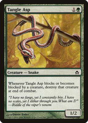 Tangle Asp card from Fifth Dawn