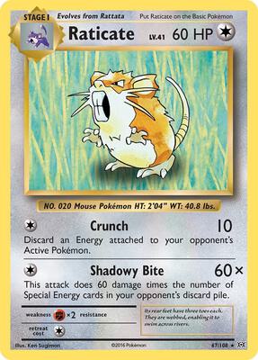 Raticate card from XY - Evolutions