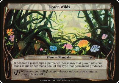 Eloren Wilds (Planechase Anthology) card from Oversize Cards