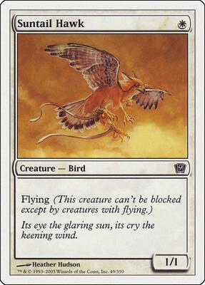 Suntail Hawk card from 9th Edition