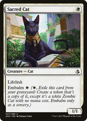 Sacred Cat card from Amonkhet