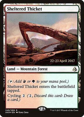 Sheltered Thicket card from Prerelease Cards