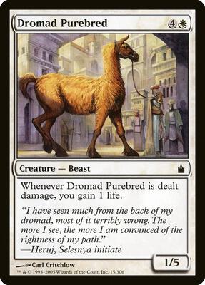 Dromad Purebred card from Ravnica: City of Guilds
