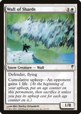 Wall of Shards card from Coldsnap