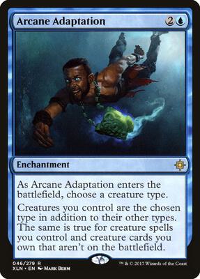 Arcane Adaptation card from Ixalan