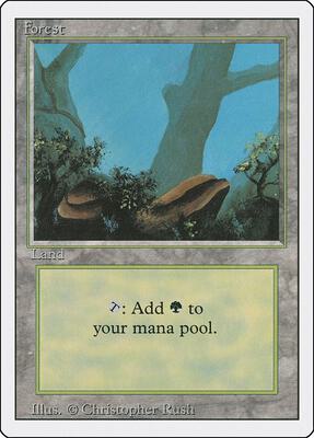 Forest (A) card from Revised Edition