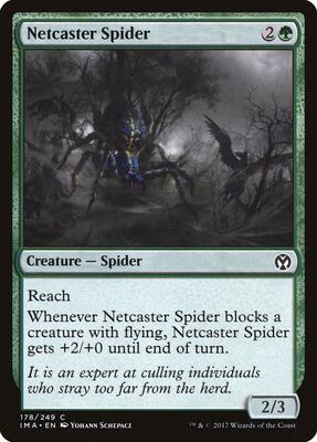 Netcaster Spider card from Iconic Masters