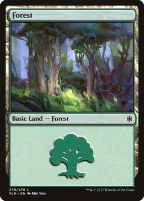Forest (279) card from Ixalan