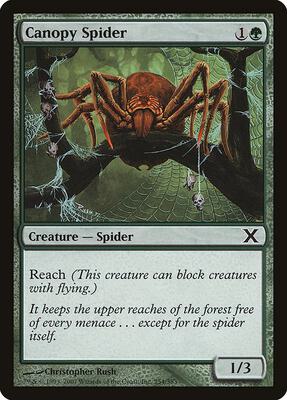 Canopy Spider card from 10th Edition
