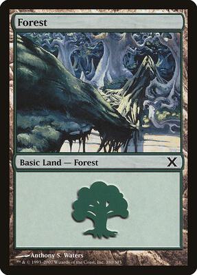 Forest (380) card from 10th Edition