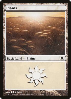 Plains (365) card from 10th Edition
