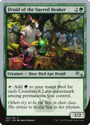 Druid of the Sacred Beaker card from Unstable