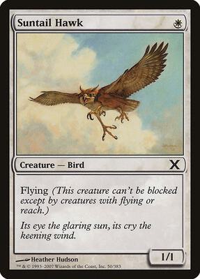 Suntail Hawk card from 10th Edition