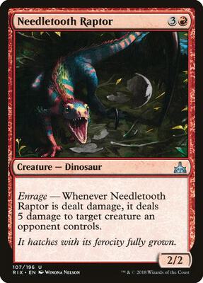 Needletooth Raptor card from Rivals of Ixalan