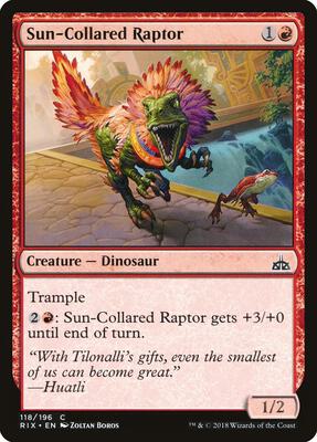 Sun-Collared Raptor card from Rivals of Ixalan