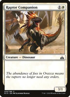Raptor Companion card from Rivals of Ixalan