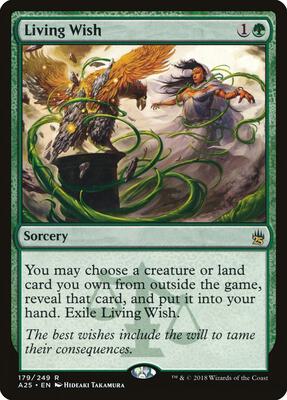 Living Wish card from Masters 25