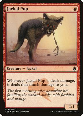 Jackal Pup card from Masters 25