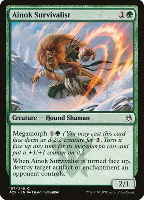 Ainok Survivalist card from Masters 25