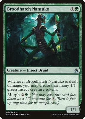Broodhatch Nantuko card from Masters 25