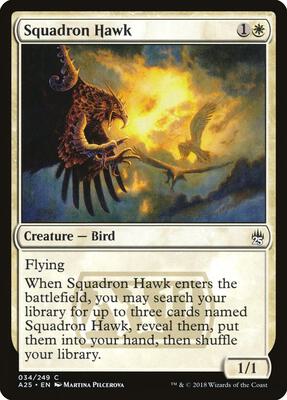 Squadron Hawk card from Masters 25