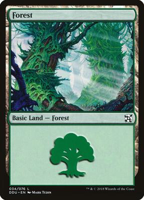 Forest (034) card from Duel Decks: Elves vs. Inventors