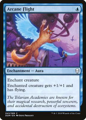 Arcane Flight card from Dominaria