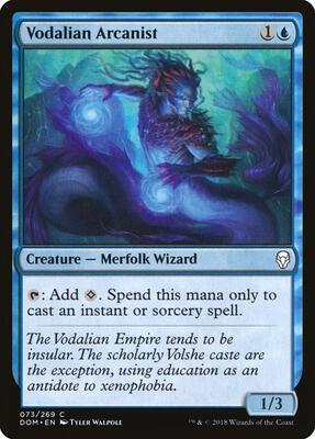 Vodalian Arcanist card from Dominaria