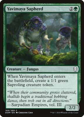 Yavimaya Sapherd card from Dominaria