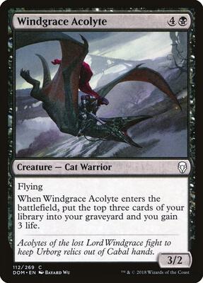 Windgrace Acolyte card from Dominaria