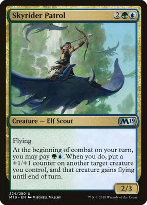 Skyrider Patrol card from Core Set 2019