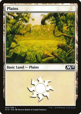 Plains (262) card from Core Set 2019