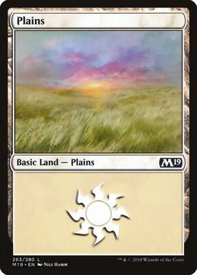 Plains (263) card from Core Set 2019
