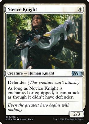 Novice Knight card from Core Set 2019