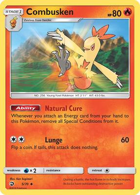Combusken card from Dragon Majesty