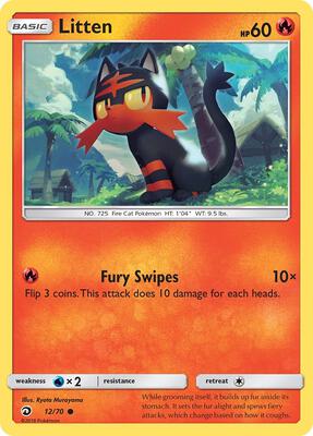 Litten card from Dragon Majesty