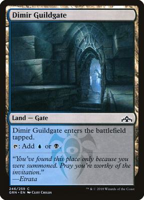 Dimir Guildgate (246) card from Guilds of Ravnica