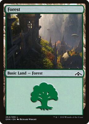 Forest card from Guilds of Ravnica